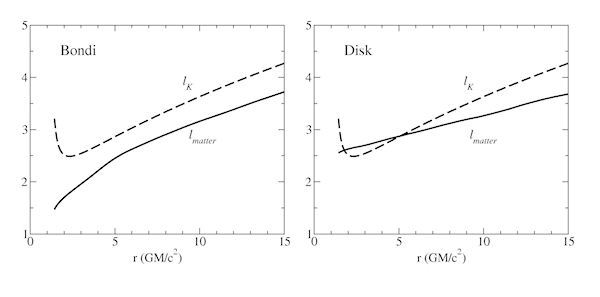 The "Bondi-like" and "disc-like" accretion flows