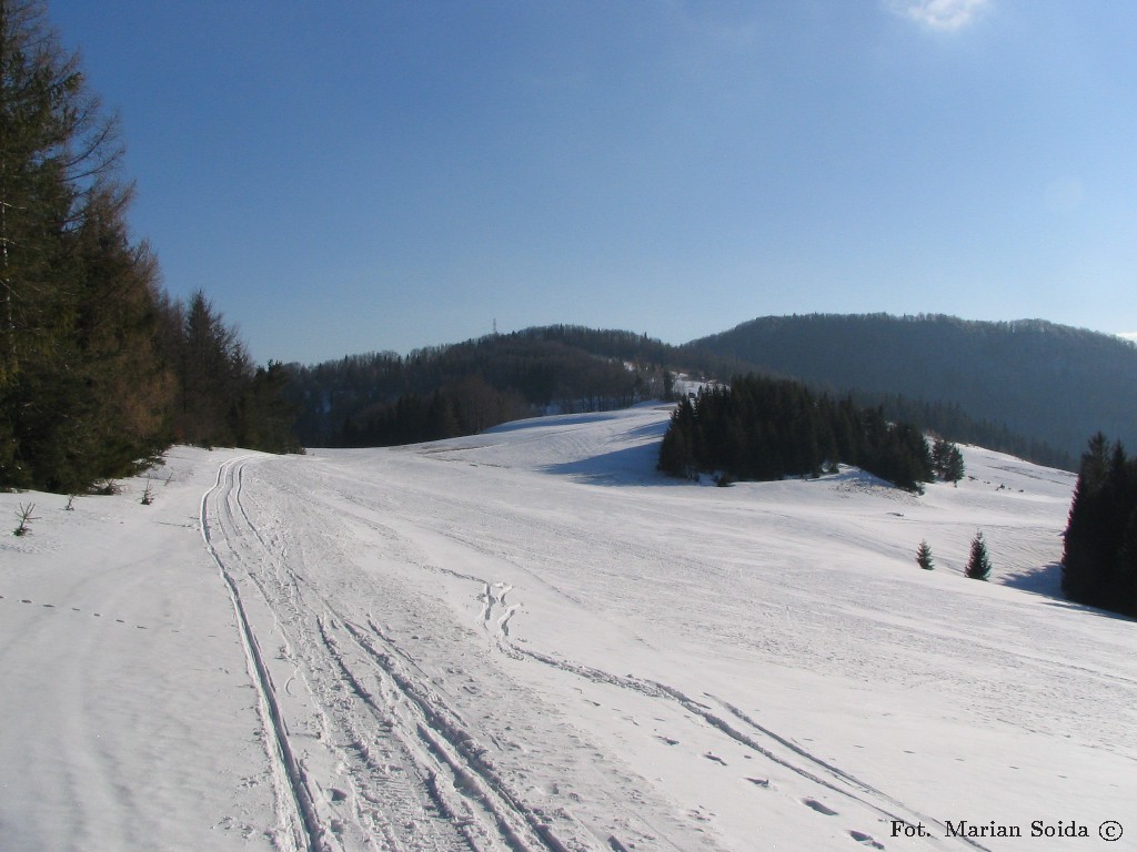 Widok na południe