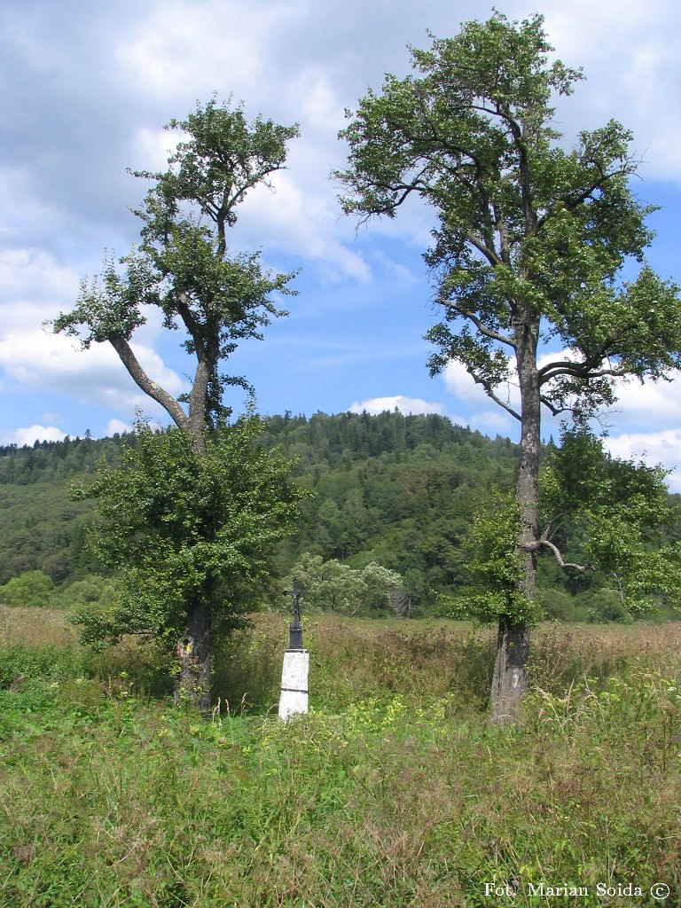 Kapliczka pod Tarnawą Niżną