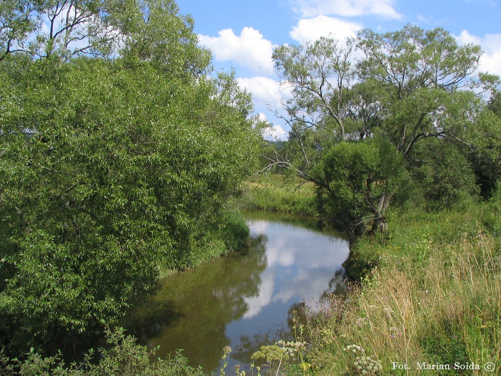 San pod Tarnawą Niżną