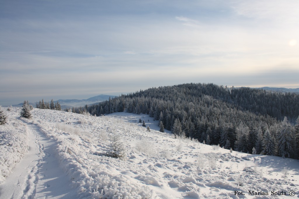 Magurka Radziechowska