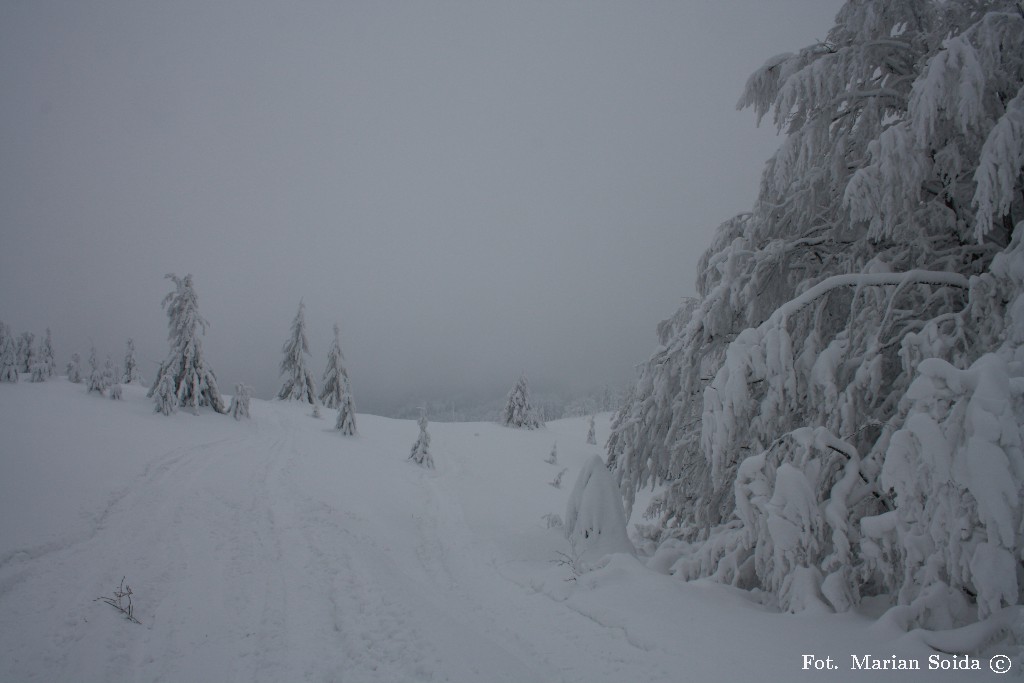 Hala Mała Racza (od góry)