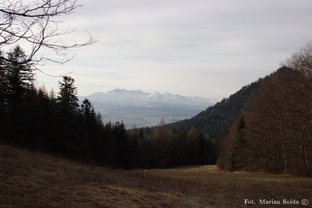 Tatry z Przełęczy Szopka