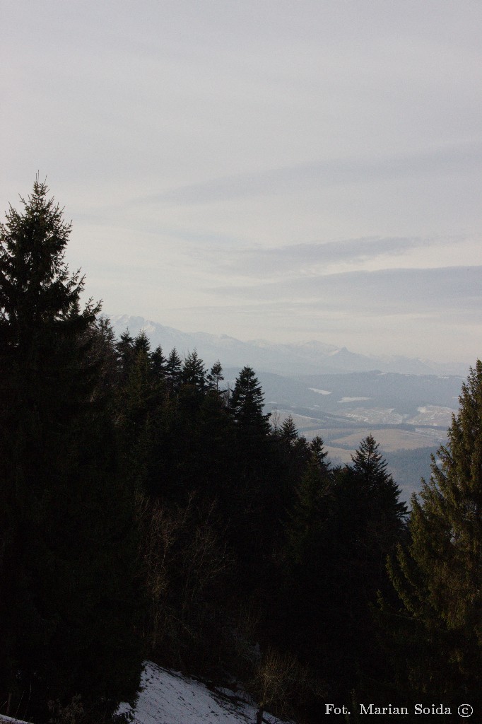 Widok na Tatry Zachodnie z Polany Pieniny