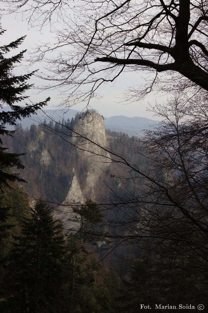 Sokolica z nad Szerokiej Doliny