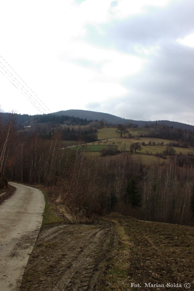 Widok na Jaworz ze Stańkowej