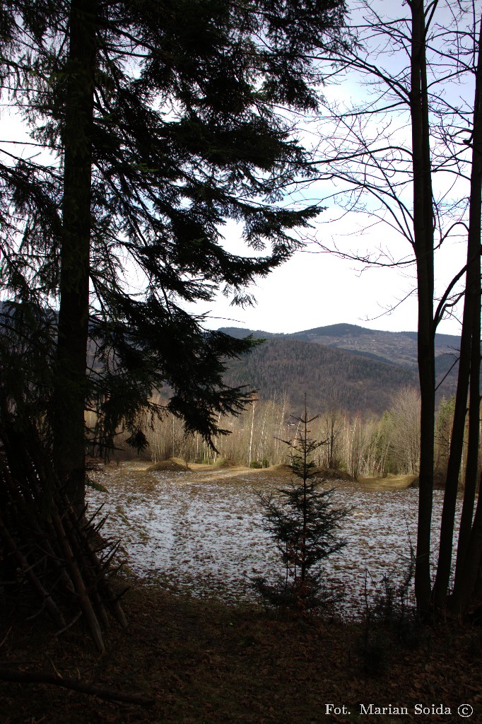 Widok na Magurkę spod Hujdów