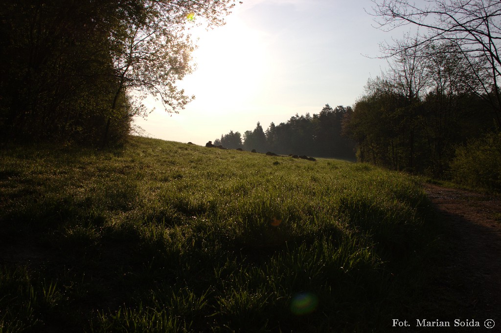 2 V 06:53: Poranne klimaty w zbliżeniu