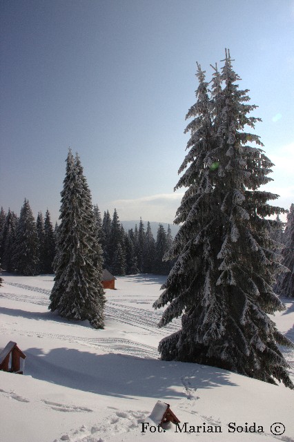 Widok na Pilsko z Hali Lipowskiej