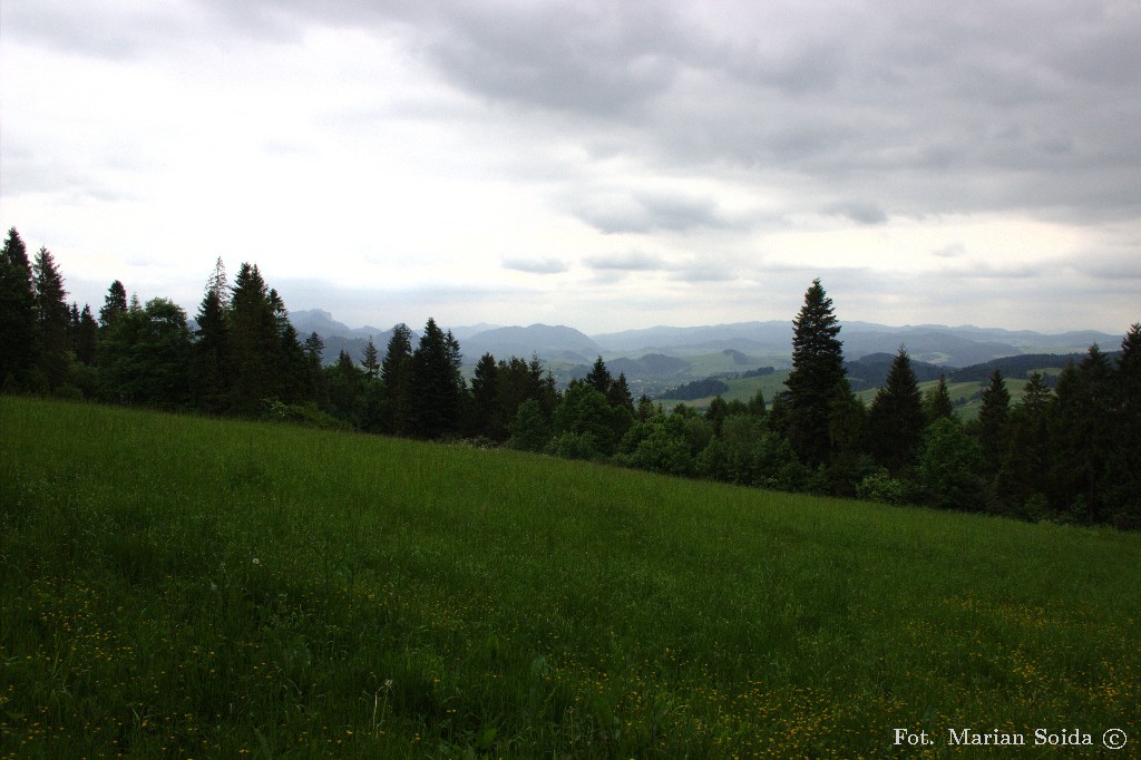 Pieniny Właściwe z nad Niedzicy