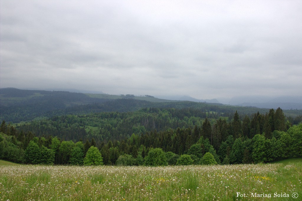 Widok na Tatry z Łapszanki