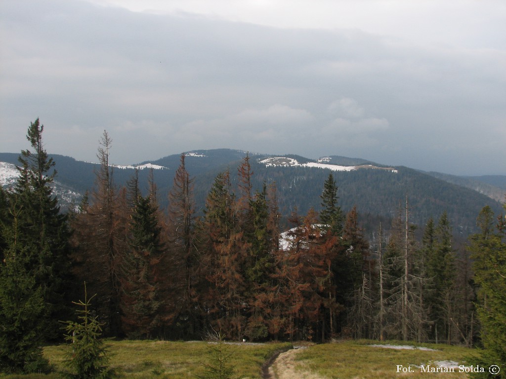 Turbacz - widok spod Kudłonia