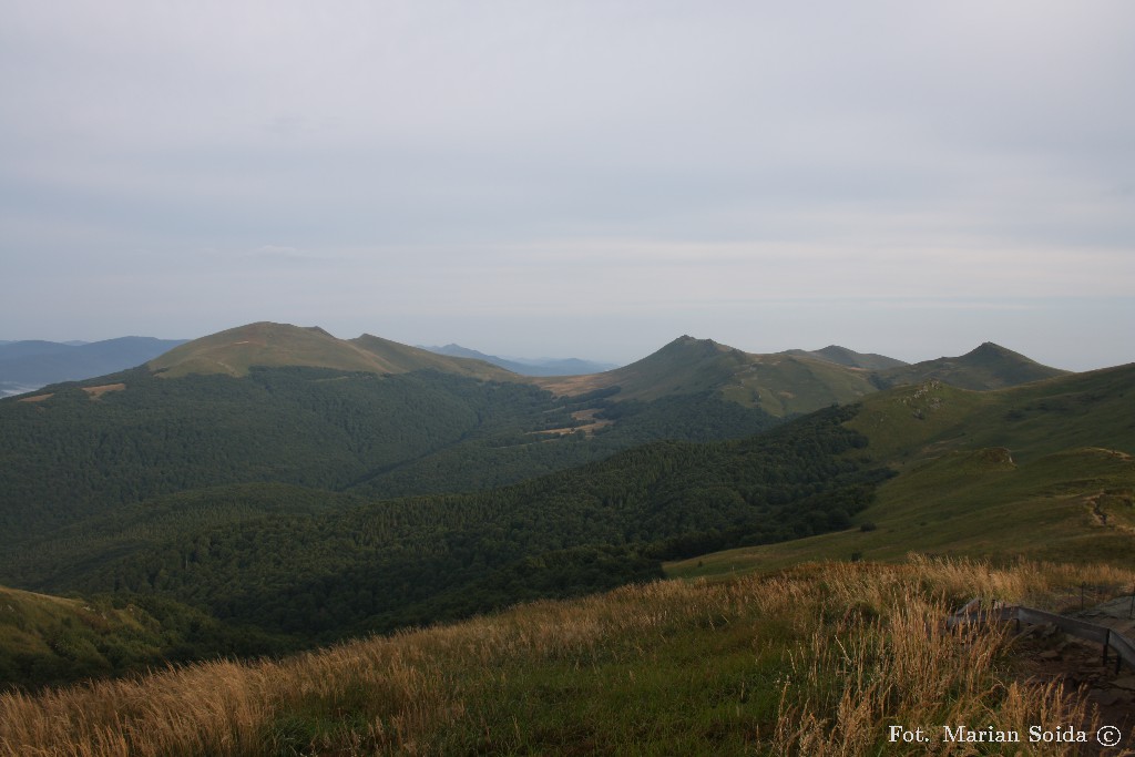 Tarnica - widok z Rozsypańca