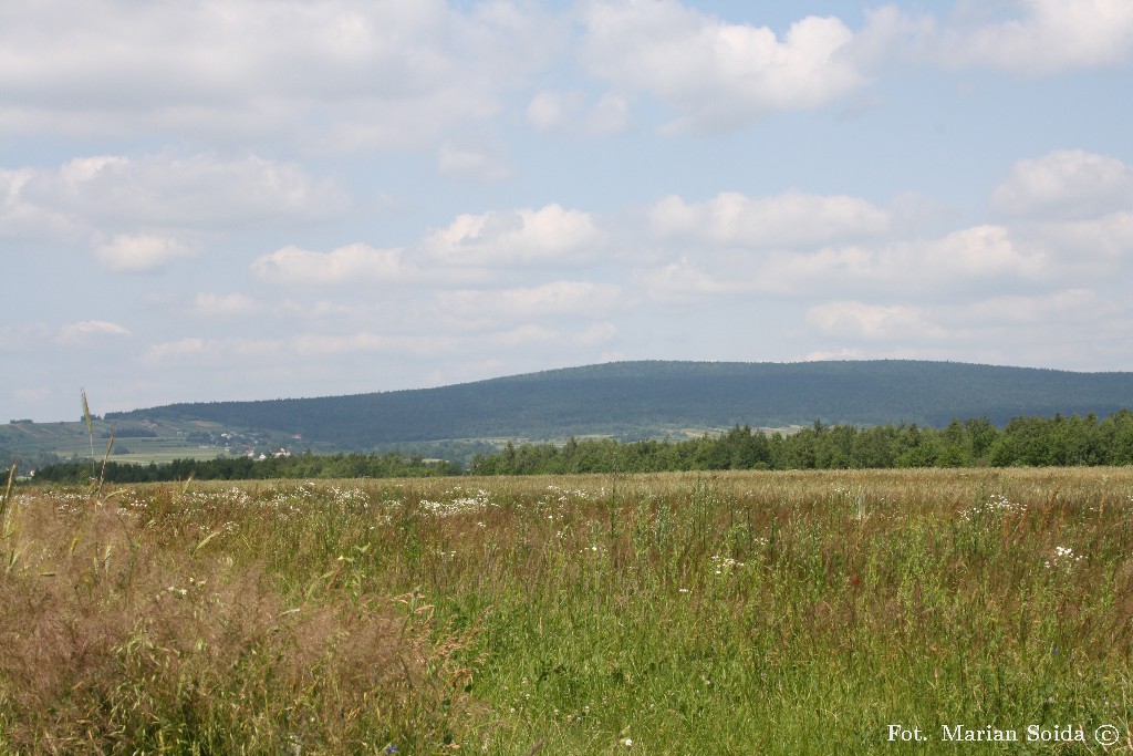 Łysica - widok od południa