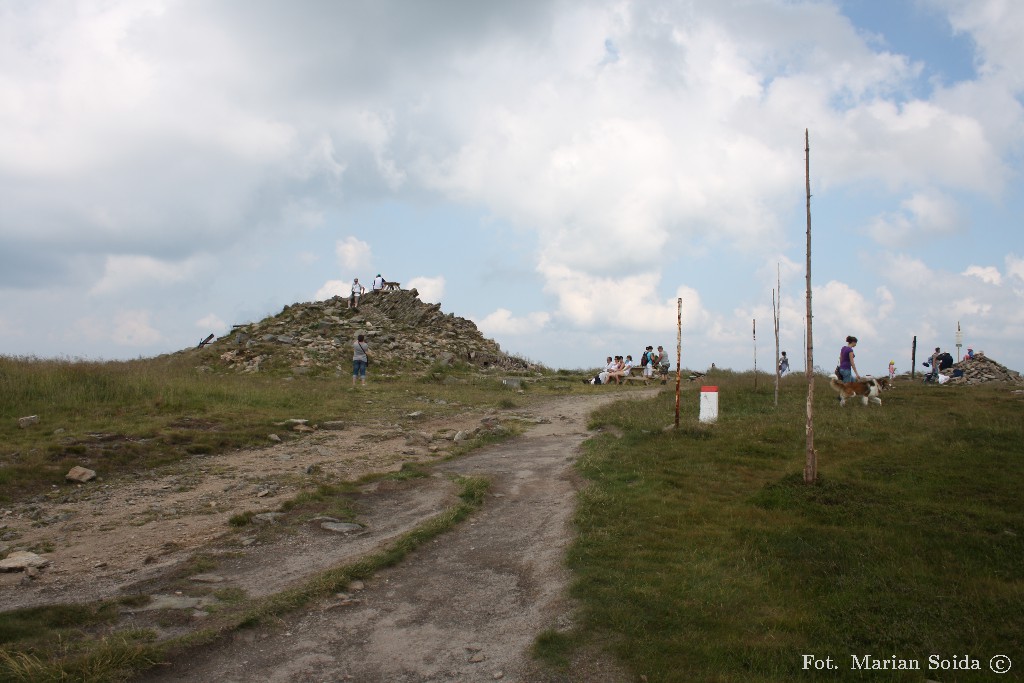 Śnieżnik