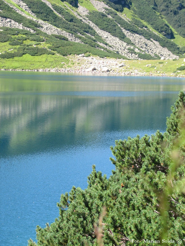 Czarny Staw Gąsienicowy