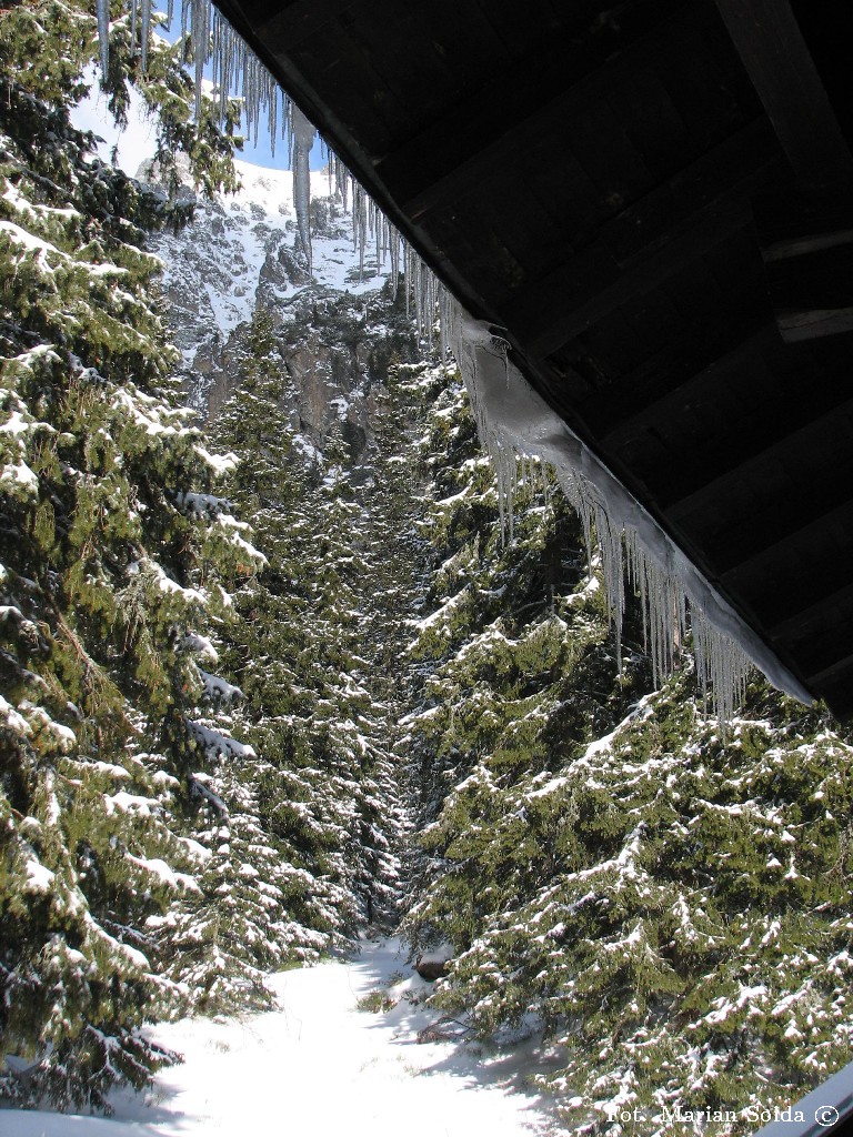 Widok spod Chaty Zamkowskiego