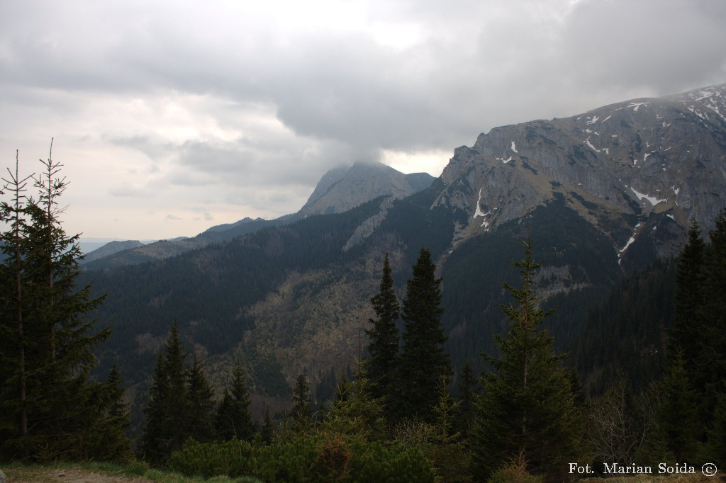 Giewont i Kobylarz spod Pieca