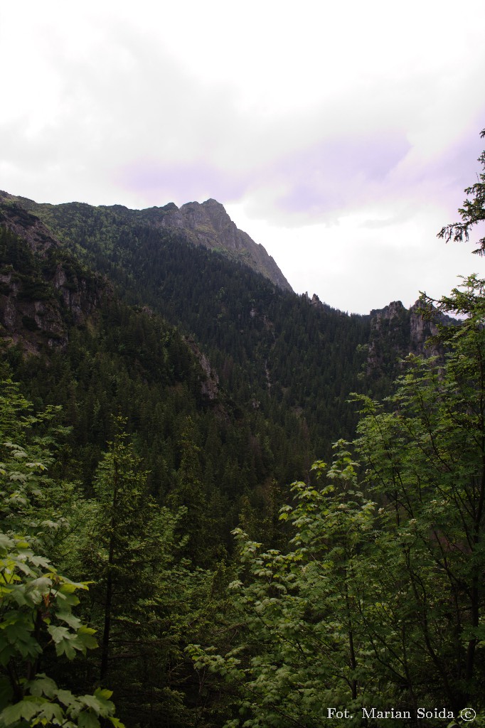 Dlugi Giewont z Wyżniej Przełęczy Białego