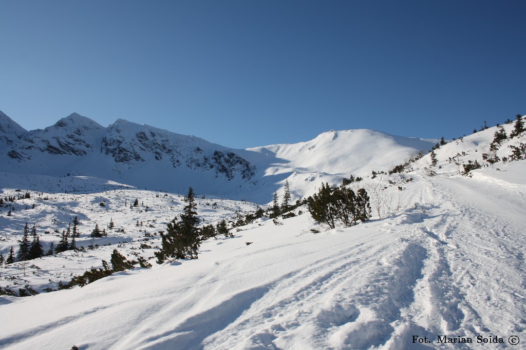 Pośrednia Turnia, Beskid z Doliny Gąsienicowej