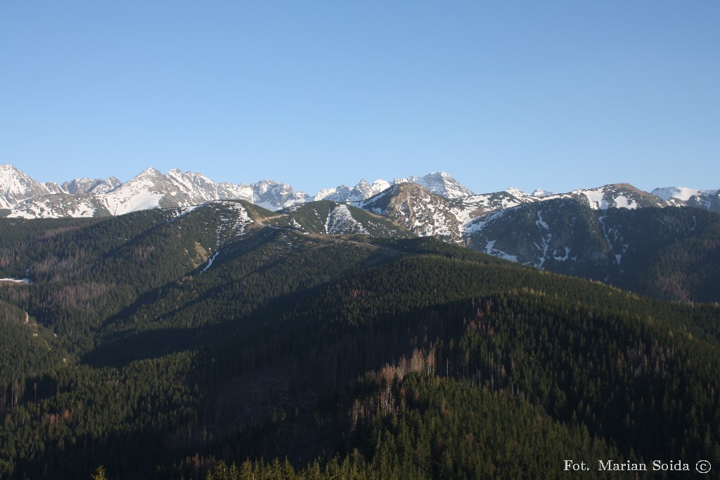 Wysokie Tatry z Nosala