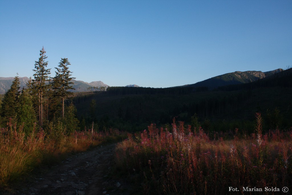 Poranny klimacik nad Trzema Studniczkami