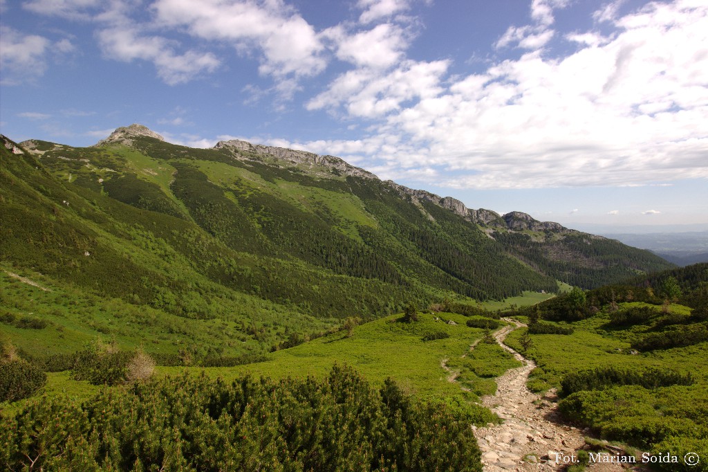 Giewont z podejścia pod Przełęcz pod Kopą Kondracką